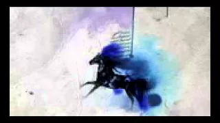 المتنبي اذا  رايت أنياب الليث شعر  خرافي دندنها