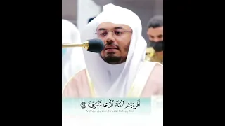 أ ف ر أ ي ت م ال م آء ال ذ ي ت ش ر ب ون تلاوة كردية بأداء روحاني يريح القلب للشيخ ياسر الدوسري 