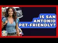 Is San Antonio Pet-Friendly - The Family Getaway Guide