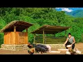Download Lagu Leaving the City for the Forest, Chef Trieu Long Builds a Dream of Self-Sufficient Pig Raising