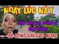 Download Lagu SONG LAM LẠI LÊN HẠI TUÂN LÊ VIỆT HÙNG