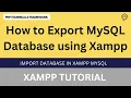 How to Export MySQL Database using Xampp import database in xampp mysql export database