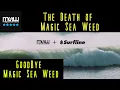 GOODBYE MAGIC SEA WEED THE DEATH OF THE BEST SURF APP SAD TIMES SURFLINE MSW