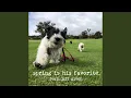 Lagu Spring is His Favorite (feat. Jeff Given)