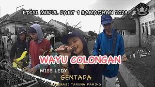 Download WAYU COLONGAN - Dian Anic | Versi OBROG GENTAPA MP3