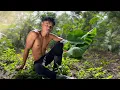 Download Lagu Bercocok tanam Pemuda Desa yang Bikin Tetangga Ngiler! Masak nasi liwet, tumis keladi dan telor