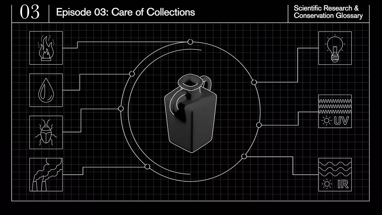 Care of Collection: Glossary of terms