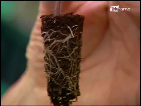 Ecuador Agropecuario 04-06-2018