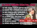 Lagu DJ JAWA TERBARU 2026 FULL BASS🎵 | DJ DENOK X DJ RAISO NGAPUSI X DJ ROPANG VIRAL MENGKANE!! NO IKLAN!