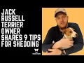Jack Russell Terrier Owner Shares 9 Tips for Shedding