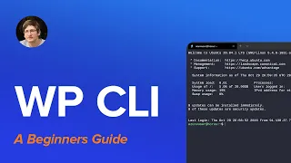 How to use use WP CLI on your WordPress site - A Beginner s Guide