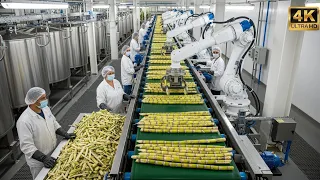 Inside a Modern Cane Sugar Factory: From Fresh Sugarcane to Pure Crystal Sugar (Full Process) FA6125