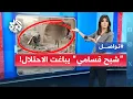 Download Lagu مقاوم قسامي بالبطانية خرج من تحت الأنقاض تحت أعين القناصة ليدمر الدبابة .. إليكم القصة | تواصل