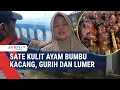 Download Lagu Viral! Sate Kulit Ayam Bumbu Kacang Gurih \u0026 Lumer di Jember