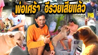 พ่อเศร้าหนัก!!!  หมาสุดรักอีรวยจากเราไปแล้ว