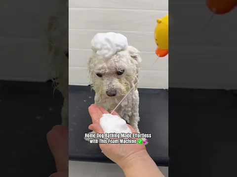One-Click Bubbles for Perfect Dog Baths π#DogBath #PetGrooming #DogBathing #PetCare #FoamMaker