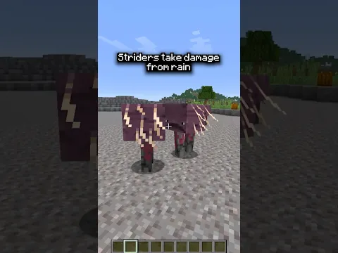 YOUR Minecraft Myths TESTED 🤯 #minecraft #shorts
