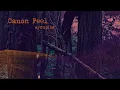 syrup16g - Flowers In The Dirt (Official Audio)