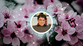 جان جهان دوش کجا بوده ای   با صدای محمدرضا شجریان  دندنها