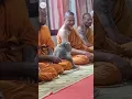 Lagu Monyet liar ini dengan tenang bermeditasi bersama para biksu di Thailand | USA TODAY #Shorts