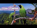 Download Lagu NEW!!! MASTERAN CUCAK IJO PILIHAN JURI SENASIONAL JUARA NO. 1 FULL ISIAN JERNIH #cucakijo #juara