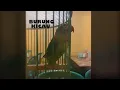 Download Lagu LOVEBIRD SANGAR!! DURASI HAMPIR 10 MENIT TANPA JEDA EDANN!!