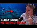 Lagu Bermuda Triangle’s Deadly Secret Has Just Been Exposed