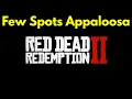 4k Few Spot Appaloosa Red Dead Redemption 2 location