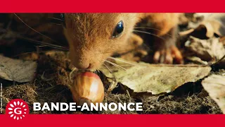 Le Chêne  (2022) - Bande-annonce