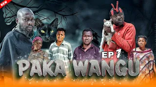 paka wangu episode 1