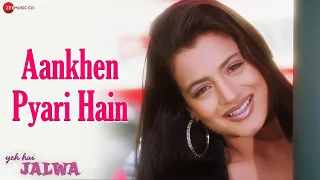 aankhen pyari hain yeh hai jalwa salman khan amisha patel alka yagnik kumar sanu himesh