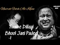 Download Lagu Tumhein Dillagi Bhool Jani Padegi | Nusrat Fateh Ali Khan | Heart-Touching Qawwali 2025