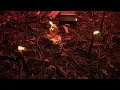 ivri - UNRECOGNIZABLE (Visualizer)