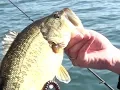 Download Lagu Fishing Tips: Slip Bobbers