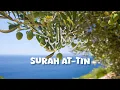 Lagu SURAH AT-TIN • SYAIKH ALAA AQEL