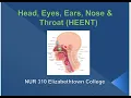 NUR 310 Lesson 2 HEENT Assessment