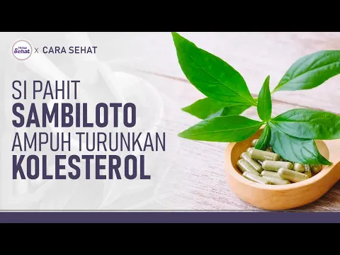 Resep Minuman Sambiloto Penurun Kolesterol Tinggi