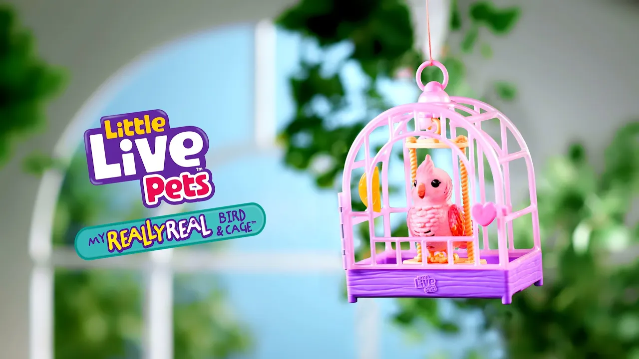 Moose Top TV Commercials — Little Live Pets - My Really Real Bird & Cage (YouTube video ad)