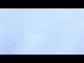 Winter Migration
