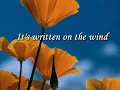 Love Is All Around - Wet Wet Wet - Lyrics