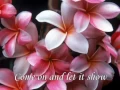 Download Lagu Love Is All Around - Wet Wet Wet - Lyrics