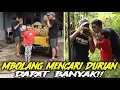 Lagu DITDIM MBOLANG MENCARI DURIAN!!