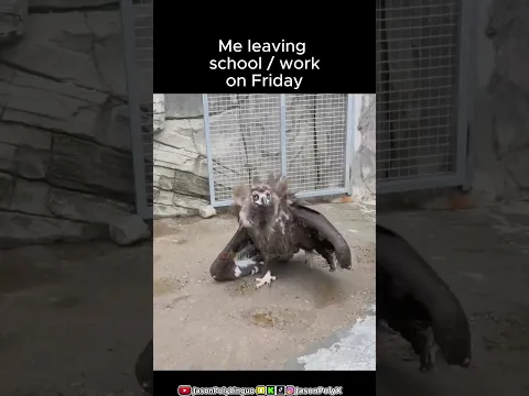 Me leaving school/work on Fridays be like! #shorts