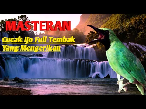 Download MP3 MASTERAN CUCAK IJO FULL TEMBAKAN TAJAM MENGERIKAN PANCINGAN EMOSI PALING JITU.