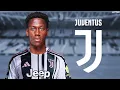 Download Lagu Jonathan David 2025 - Welcome to Juventus | Skills, Goals \u0026 Assists | HD
