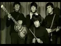 Los Beatniks - Campos de Amor