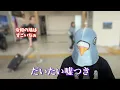 【ストリートピアノ】Adoの新曲『Love me forever!』を弾いたら鳩に釘付けになる人続出!!【リズム天国 ミラクルスターズ】