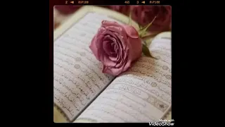 عشنا سنين والكتاب رفيقنا   انشودة رائعة جدا دندنها