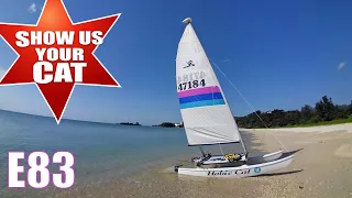 Show us your cat! Episode 83 Germany and Japan