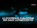 Download Lagu Le mystérieux phénomène des eaux luminescentes｜TF1 INFO